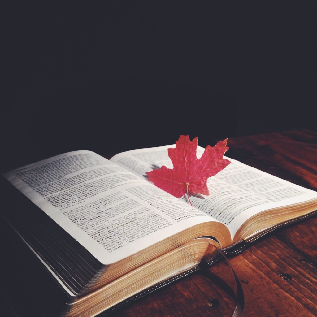 Bible Reading The Majestys Men