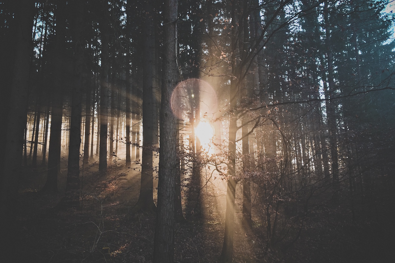 God holy spirit cynicism hope faith love