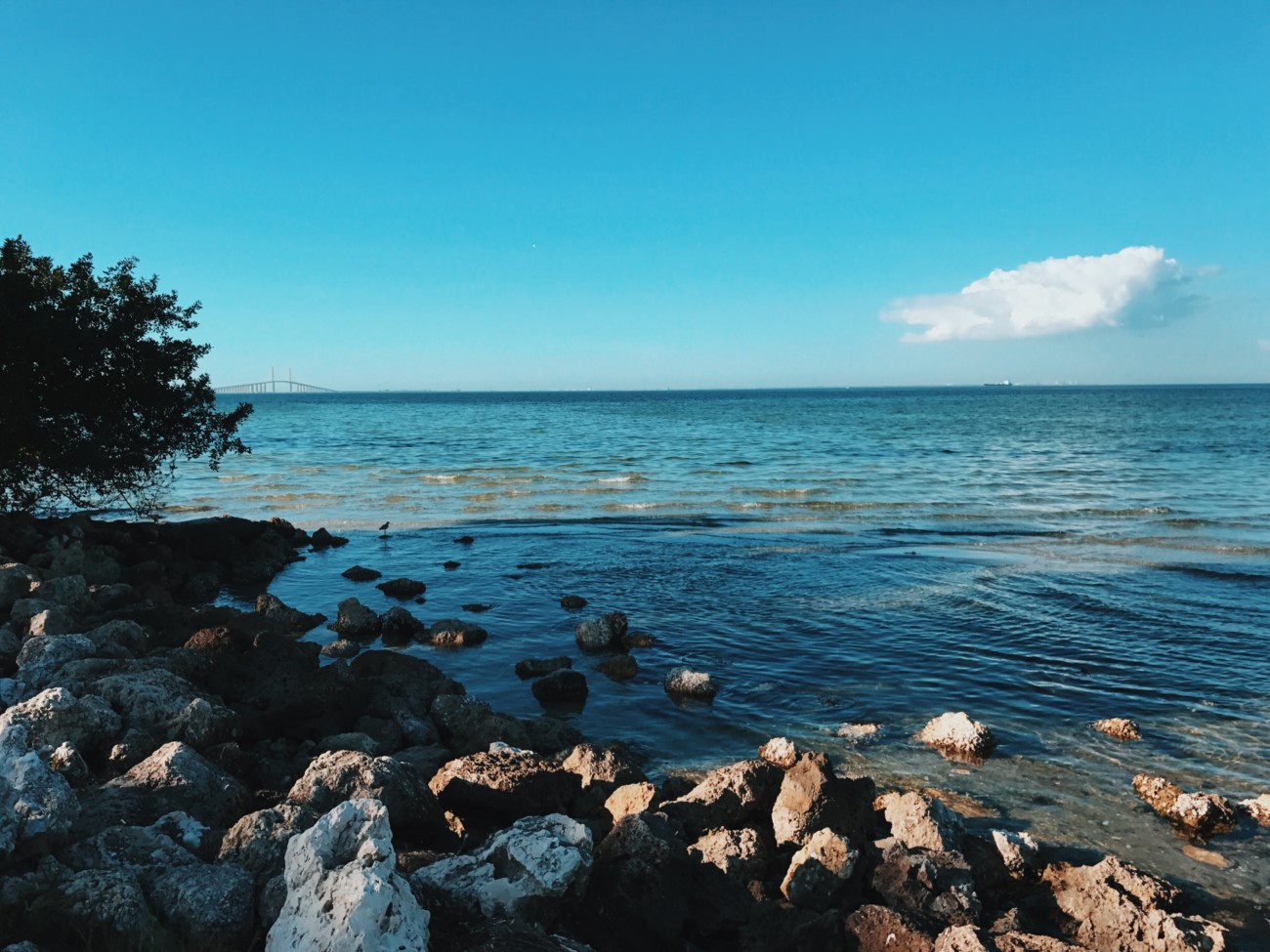 make next year great