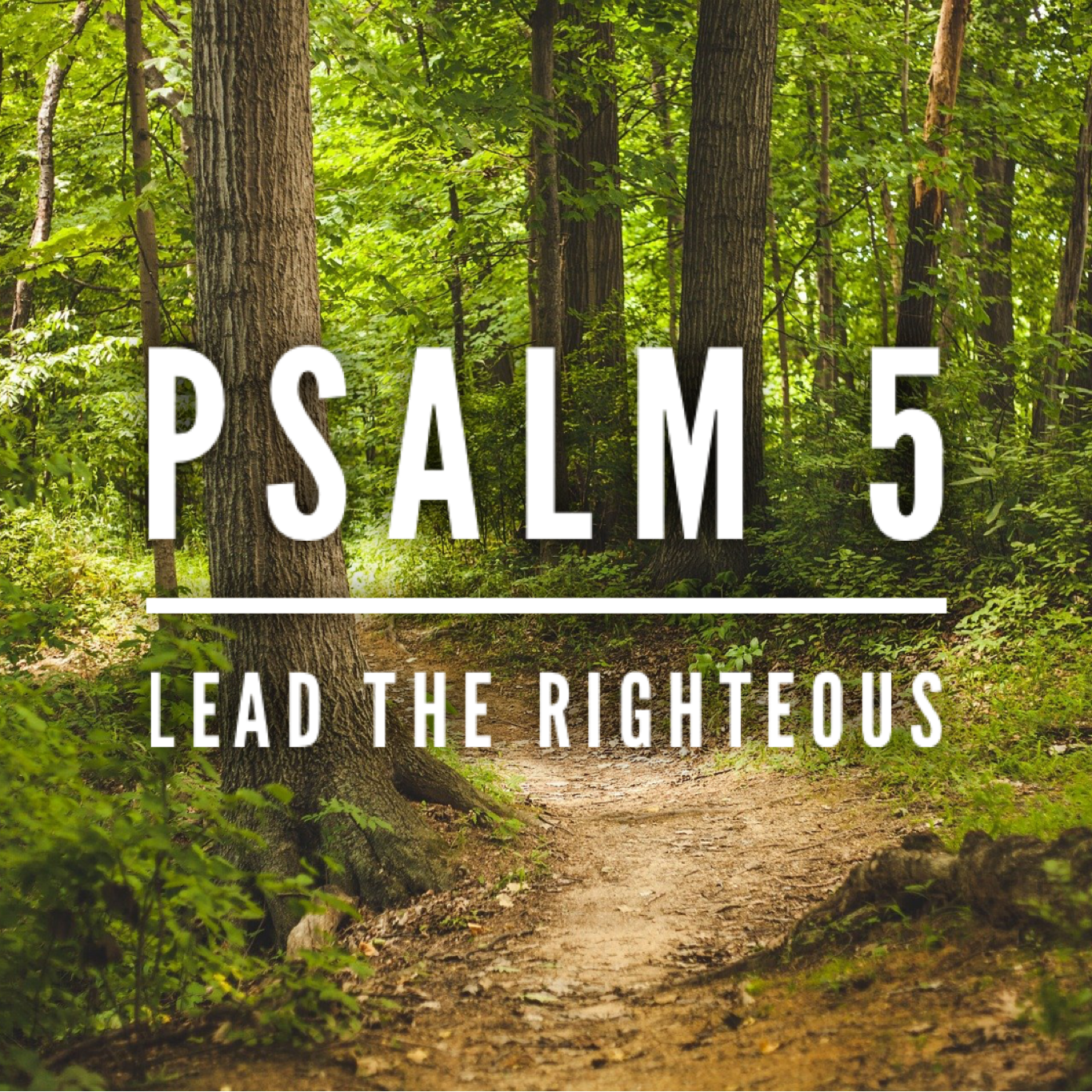 Psalm 5 – Lead the Righteous episode artwork