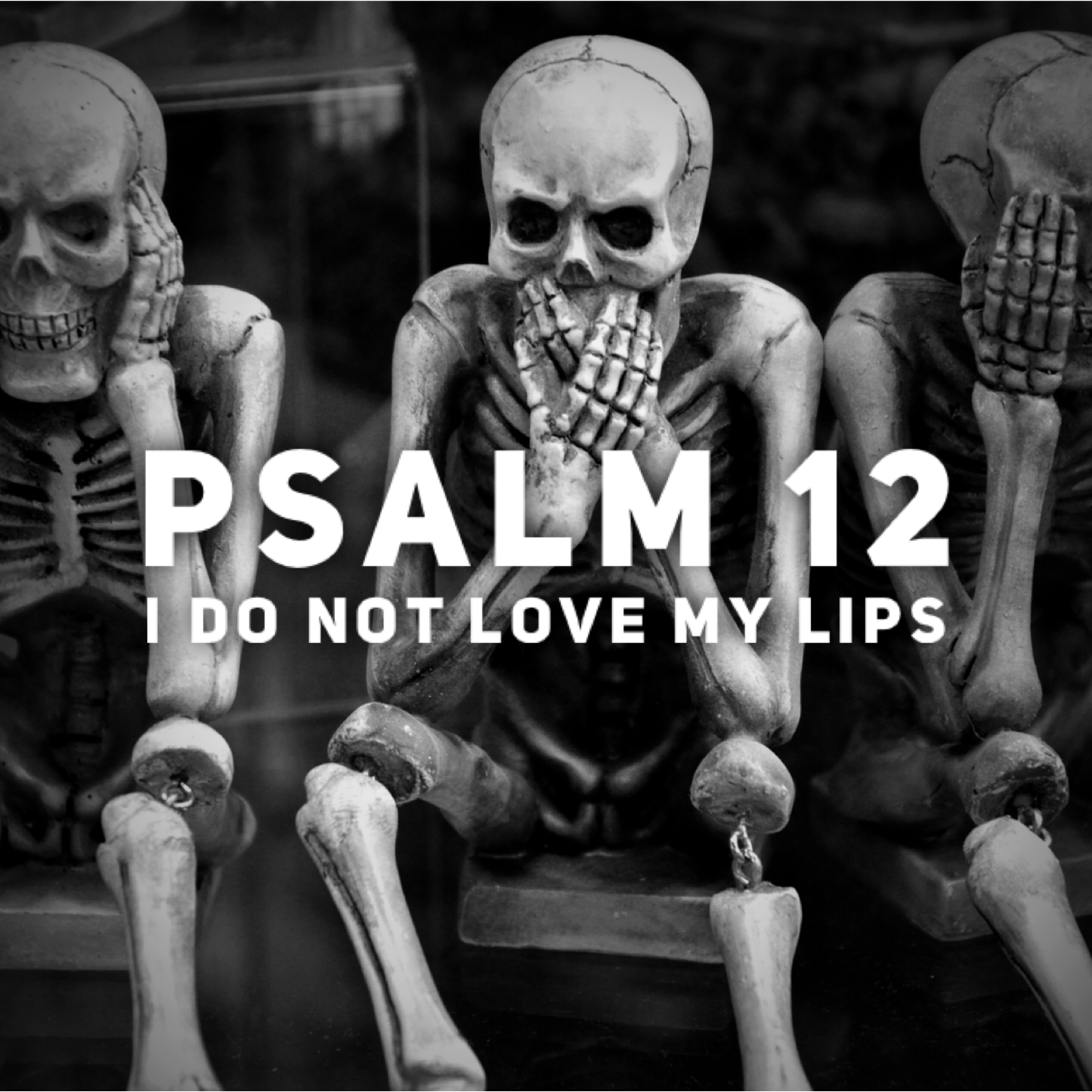 Psalm 12 – I Do Not Love My Lips episode artwork