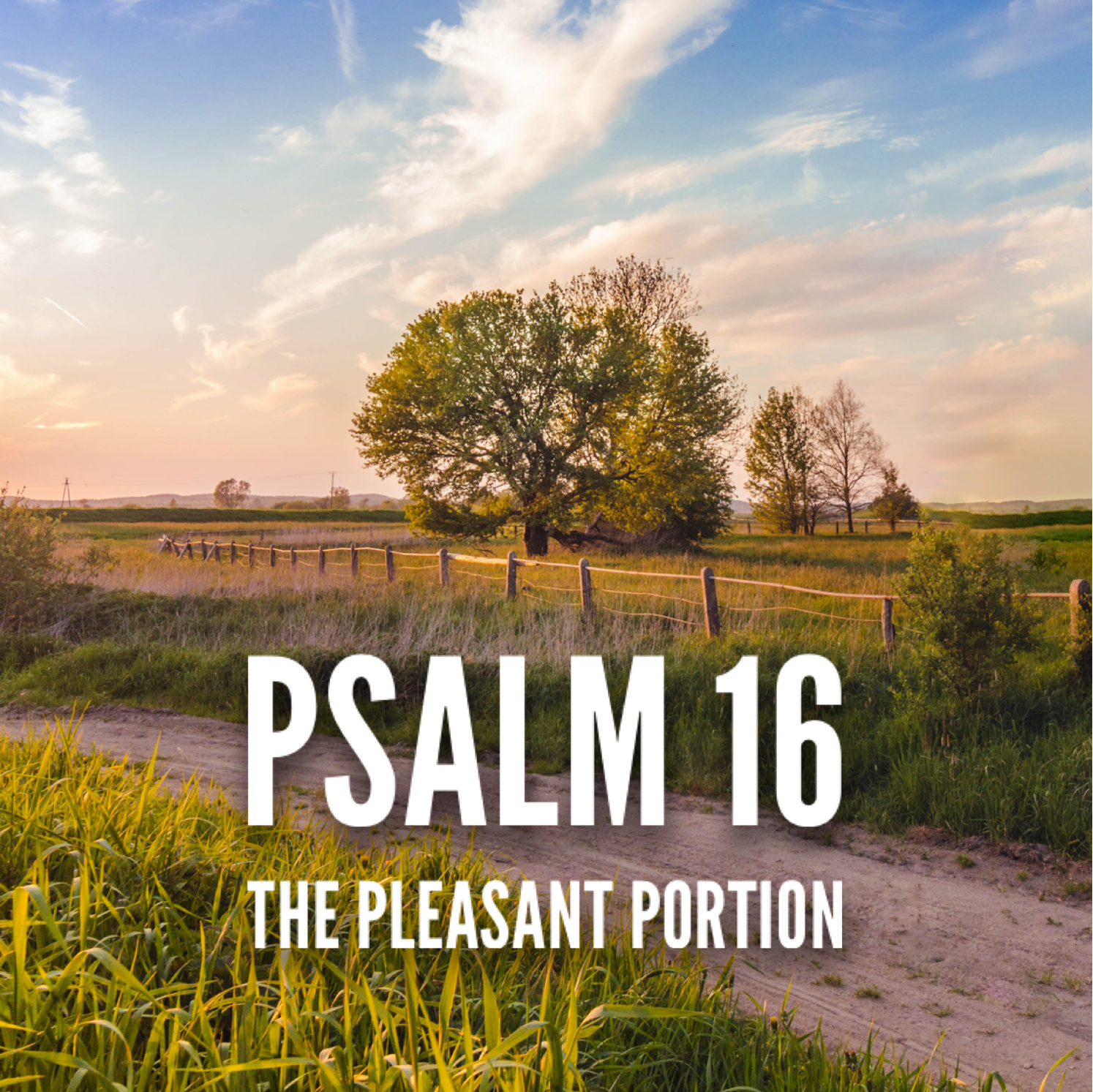 Psalm 16 – The Pleasant Portion episode artwork