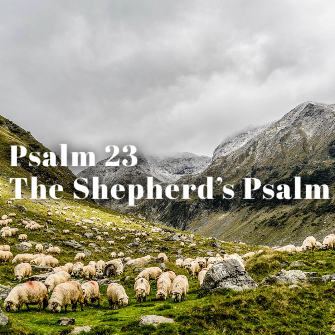Psalm 23 – The Shepherd’s Psalm episode artwork