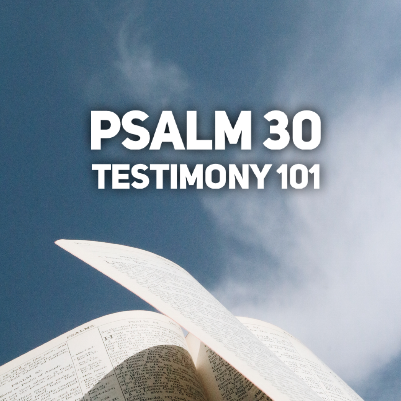 Psalm 30 – Testimony 101 episode artwork