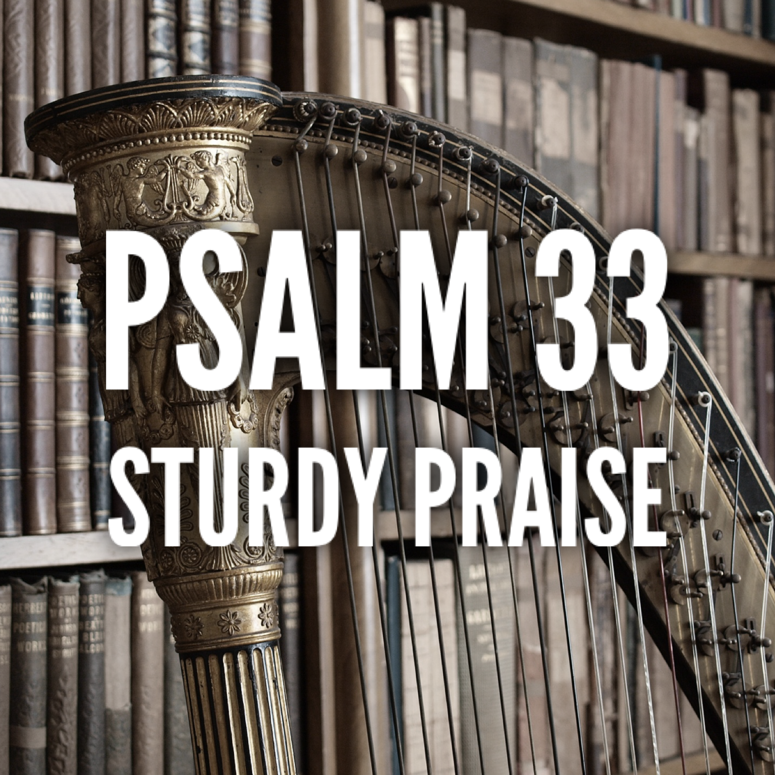 Psalm 33 – Sturdy Praise episode artwork
