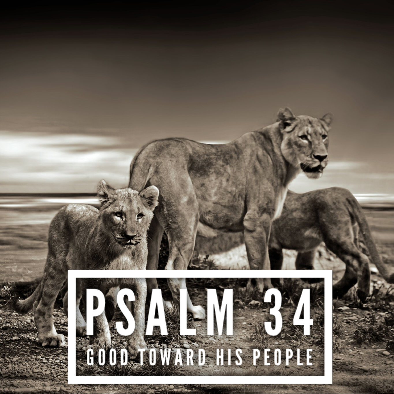Psalm 34 – Good Towards His People episode artwork