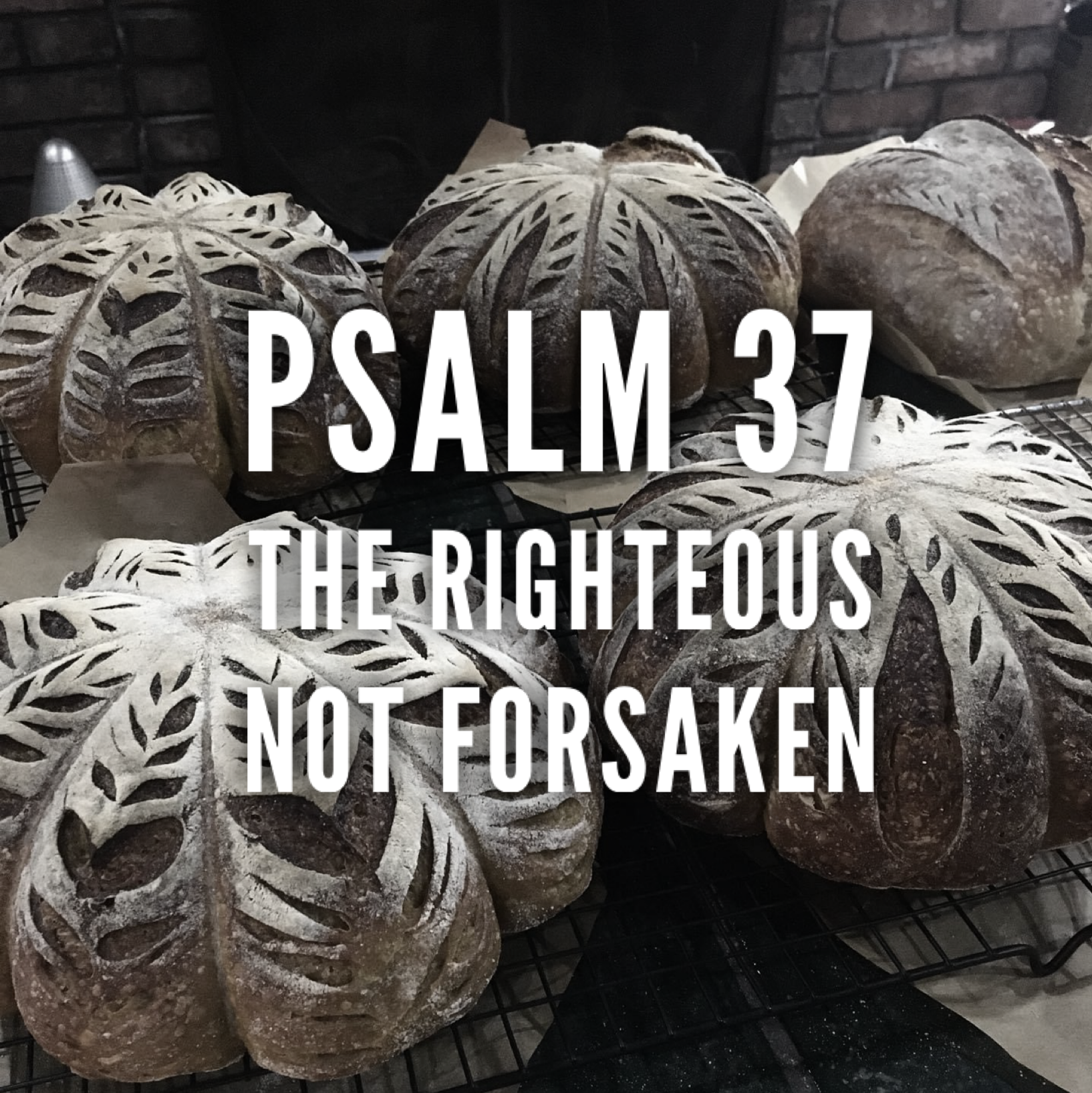 Psalm 37 – The Righteous Not Forsaken episode artwork